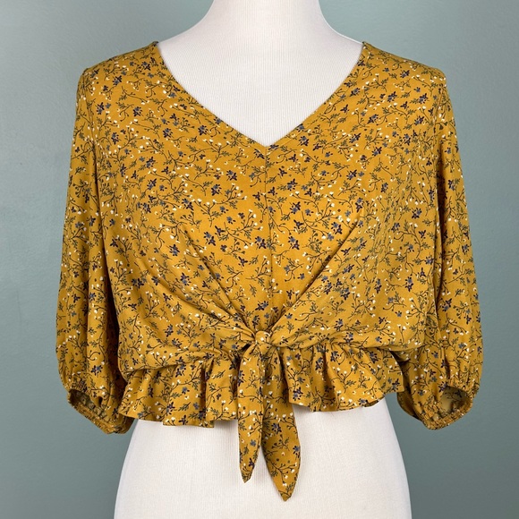 Cropped Tied Blouse - Picture 1 of 6